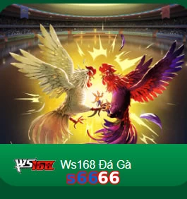 s6666